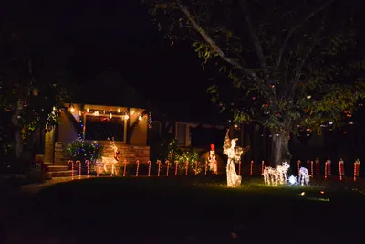 DSC_5809 (Large).JPG